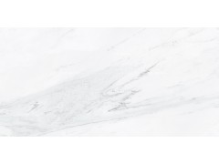 布达拉白 8R219PF图3
