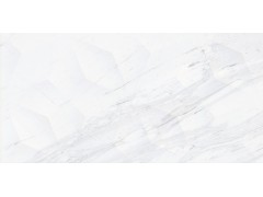 布达拉白 8R219PFM2图2