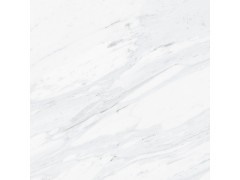 布达拉白 8R219DPF图1