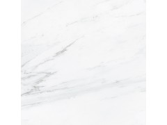 布达拉白 8R219DPF图5