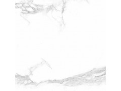 雪花白 TDZF003图4