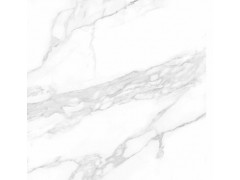 雪花白 TDZF003图5