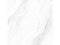 爵士白 TDZF02180M(柔光)图7