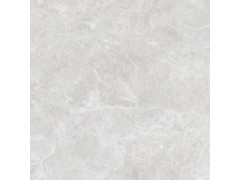 雅士灰 TDZF12180M(柔光)图4