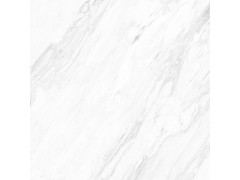 爵士白 TDZF02280PS图1
