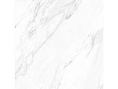 爵士白 TDZF02280PS图5