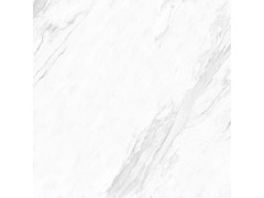 爵士白 TDZF02280PS图6