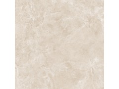 芬迪米黄 TDZF22180PS图3