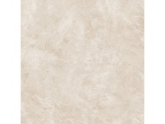 芬迪米黄 TDZF22180PS图5
