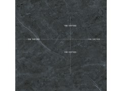 印加黑 TFGF812图4