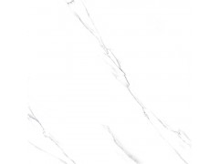 纳斯卡白 TFGF011图3