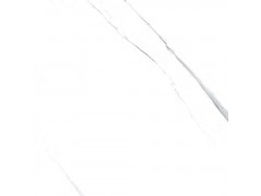 纳斯卡白 TFGF011图7