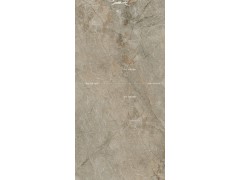 比萨棕 TDMF701图8