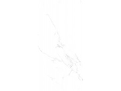 卡拉布白 TDMF02360120(哑光)图5