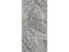 伦巴第灰 TDMF111图2