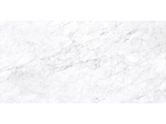 巴里白 TDMF011图3
