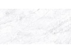 巴里白 TDMF011图5