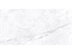 巴里白 TDMF011图7