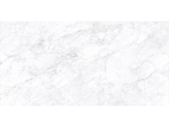 巴里白 TDMF011图8