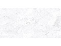 巴里白 TDMF011图9