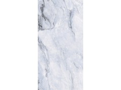 萨丁蓝 TDMF511图6