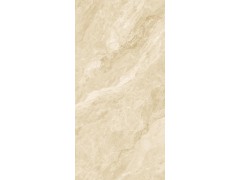 普洛奇米黄 TDMF215图5