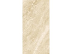 普洛奇米黄 TDMF215图8