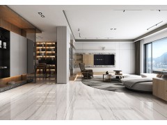 雅典白 TDMF013图2