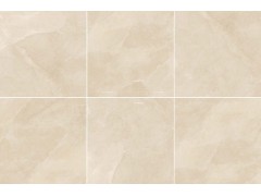 塔利米黄 TDHF20290PS图4