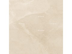 塔利米黄 TDHF20290PS图5