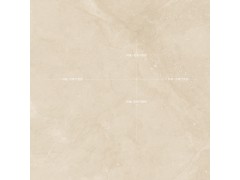 塔利米黄 TDHF20290PS图7
