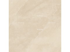 塔利米黄 TDHF20290PS图8