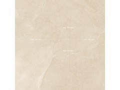 塔利米黄 TDHF20290PS图9