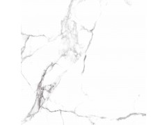伊利白 TDHF00290PS图7