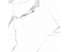 伊利白 TDHF00290PS图8