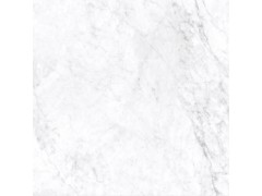安加拉白 TDHF00190PS图4