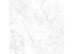 安加拉白 TDHF00190PS图6
