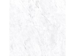 安加拉白 TDHF00190PS图8