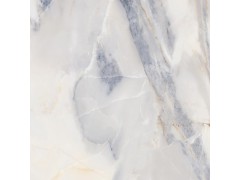 瑞士金 TDGF20180PS图6