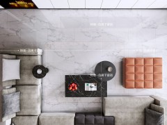 阿拉斯白 TDGF00280PS图2