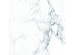 阿拉斯白 TDGF00280PS图6