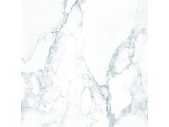 阿拉斯白 TDGF00280PS图8