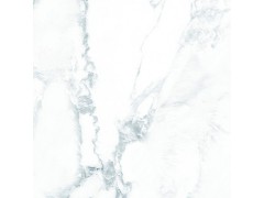 阿拉斯白 TDGF00280PS图9