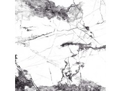 布拉格白 TDGF00180PS图7
