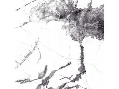 布拉格白 TDGF00180PS图9
