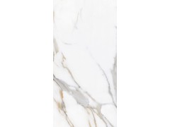 乔治金 TDPF002图5