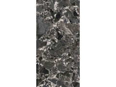米尔黑 TDPF801图6