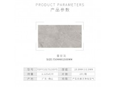 特地 负离子瓷砖 雷尼灰通体砖图5