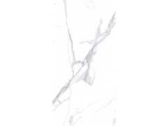 布丹白 TDPF001图6