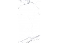 特地·负离子瓷砖 布丹白通体砖图5